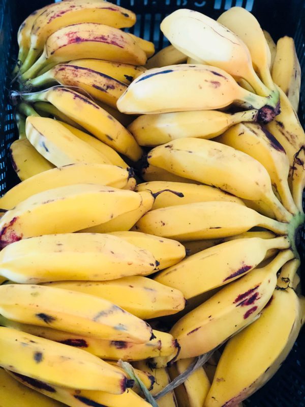 Banane MIGNONNE (env. 500g)