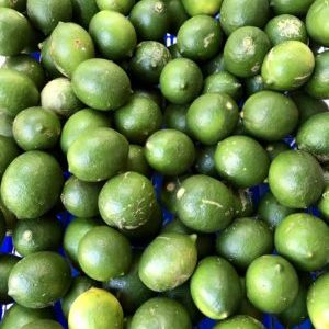 Citron 4 saisons (env. 800g)
