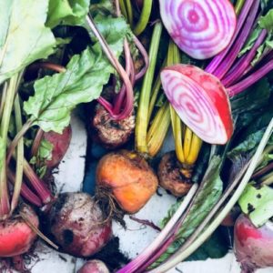 Betterave MIX COULEURS (env. 500g)
