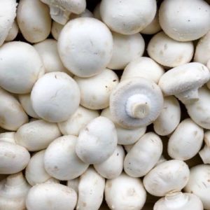 Champignon de Paris BLANC (env. 250g)
