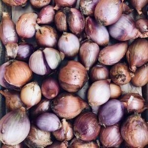 Oignon pays Rose de Bourbon (env. 500g)