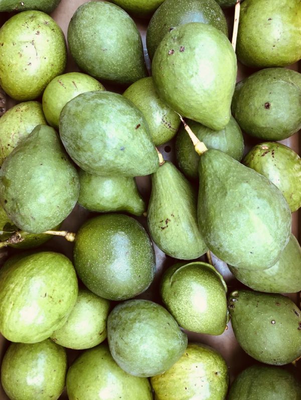 Avocat (pièce)