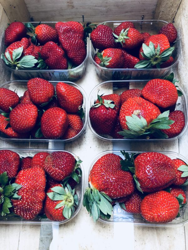 Fraise (250g)