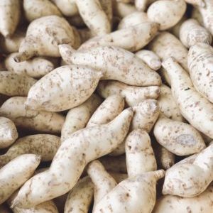 PROMO Patate douce BLANCHE (env. 1KG)*Stock précédent*