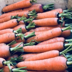 PROMO Carotte (env. 500g)*Stock précédent*