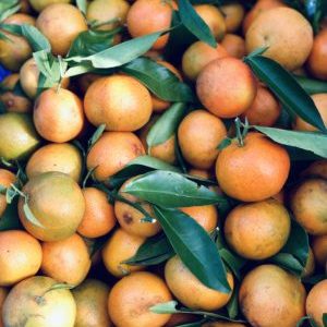 Clémentine pays (env. 500g)