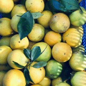 Orange pays (env. 1kg)