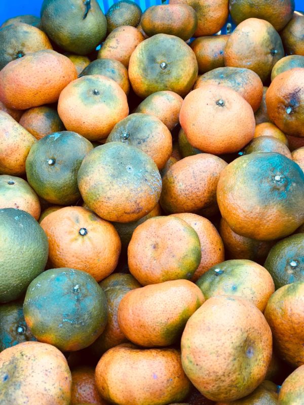 Mandarine pays (env. 500G)