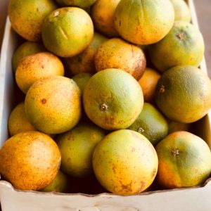 Orange pays THOMSON (env. 1kg)