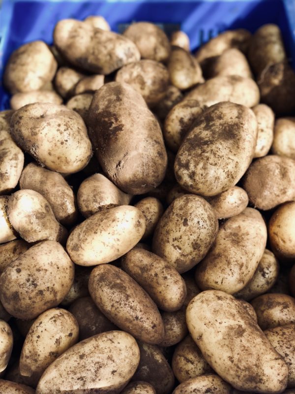 Pomme de terre SOLEIA (env. 1kg)