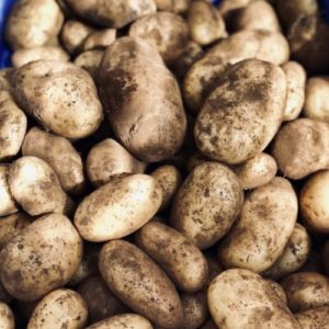 PROMO Pomme de terre SOLEIA (env. 1kg)*Fin de stock*