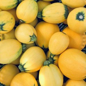OFFRE 1kg courgette JAUNE (env. 1kg)