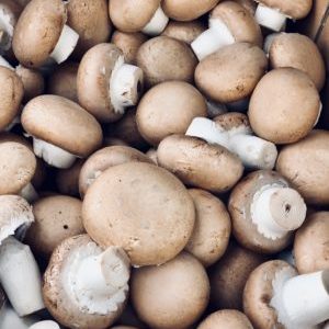 Champignon de Paris BRUN (env. 250g)