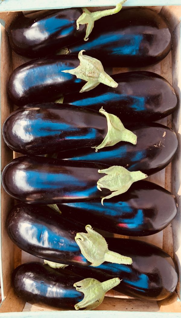 Aubergine noire (env. 500g)