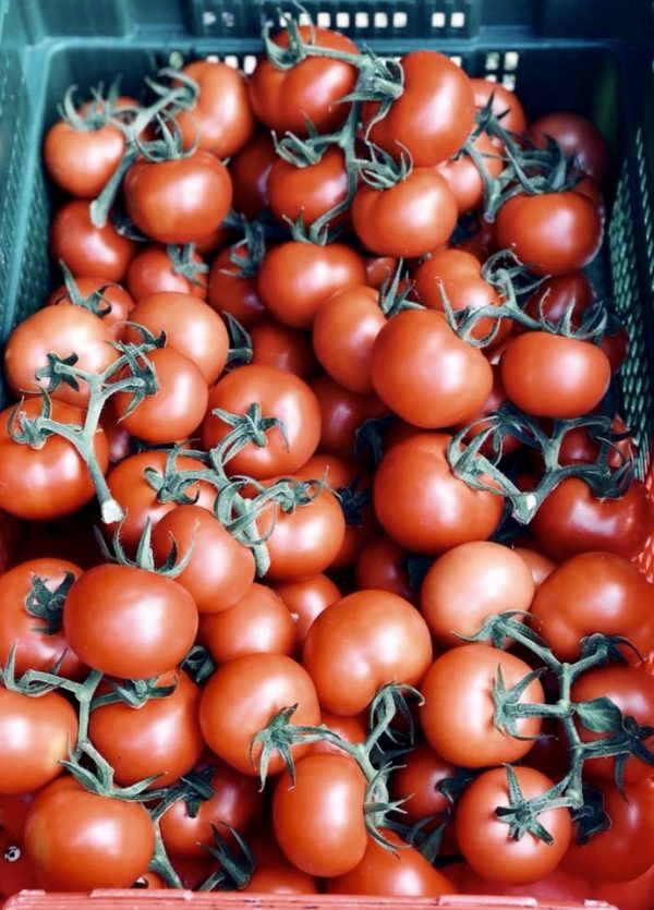 Tomate grappe ROUGE (env. 500g)
