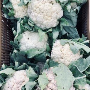 PROMO Chou-fleur (pièce)*Fin de stock précédent*