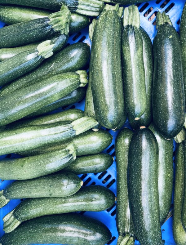 Courgette VERTE (env. 500g)