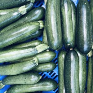 PROMO Courgette VERTE (pièce)*Stock précédent*
