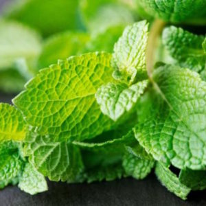 PROMO Menthe (botte)*Stock précédent*