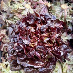 PROMO Feuille de chêne ROUGE (pièce)*Stock précédent*