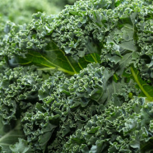 Chou KALE (botte)