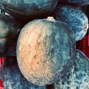 Citrouille pays (tranche env. 1kg)