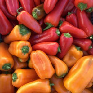 Mini poivron APÉRO (env. 250g)